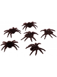 6 ragni pelosi marroni  in plastica  diam. cm.7 ca. su cartoncino